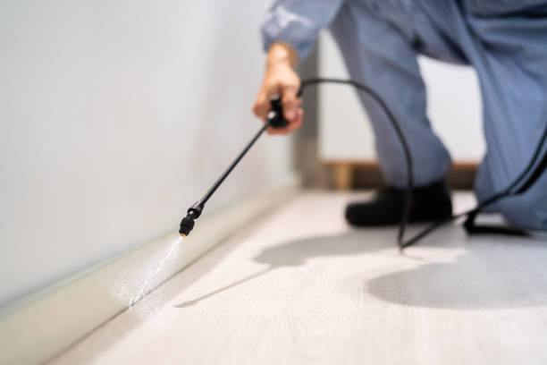 Licensed Rodent Control service in Cheshire County County, NH - Nex Pest Control
